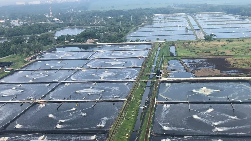 Energy Saving Blower for Aquaculture Aeration Systems